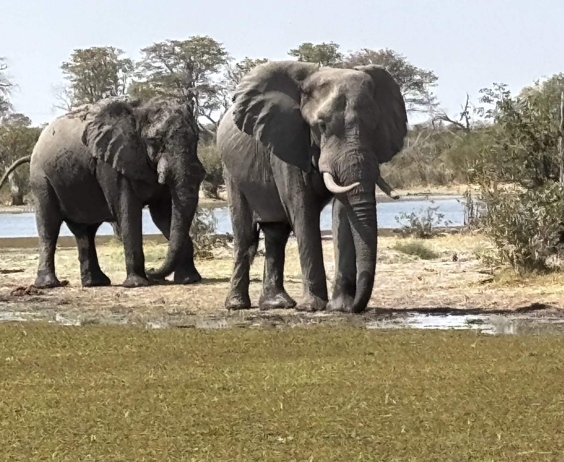 Botswana 2025