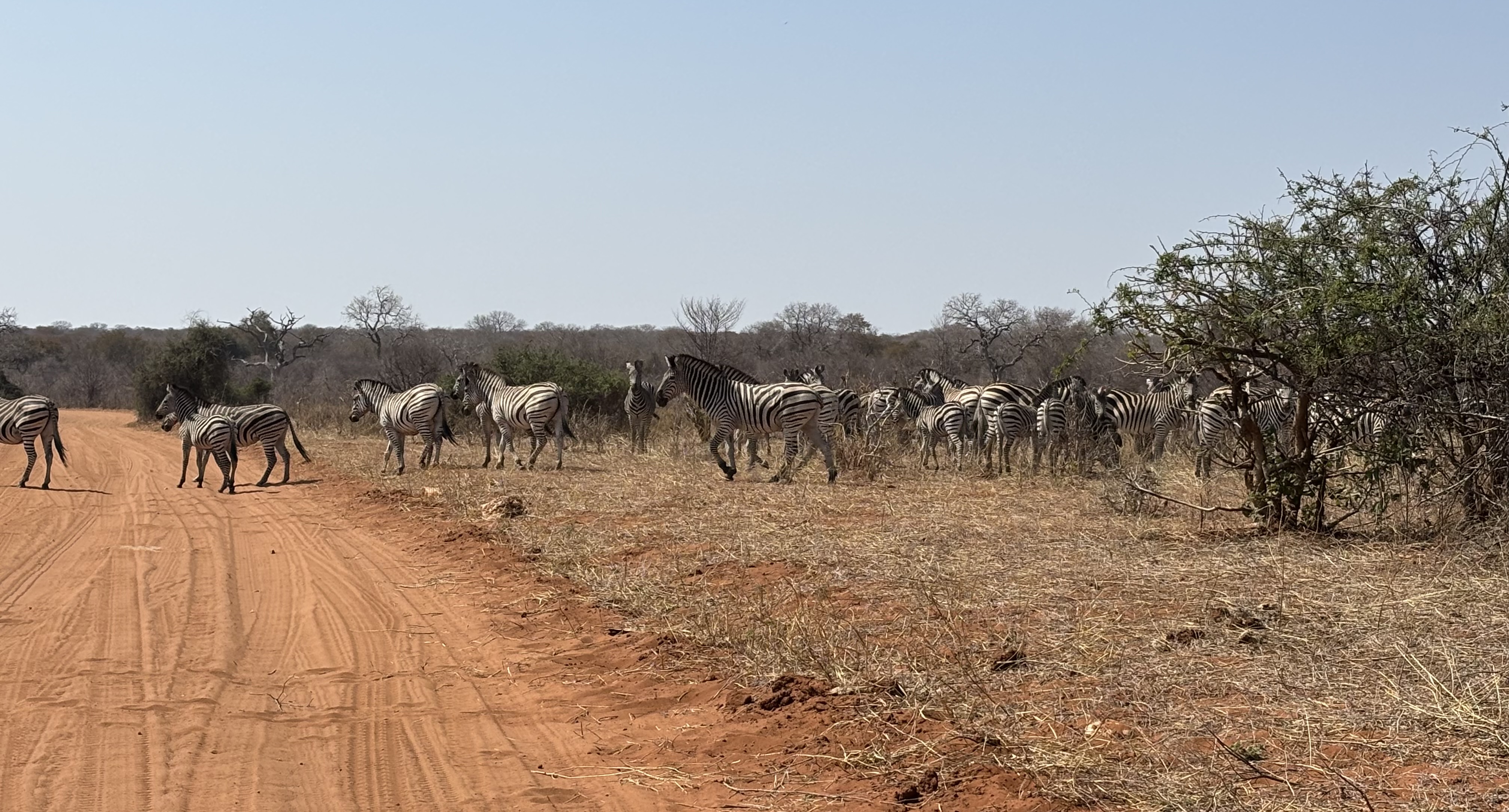 Botswana 2025