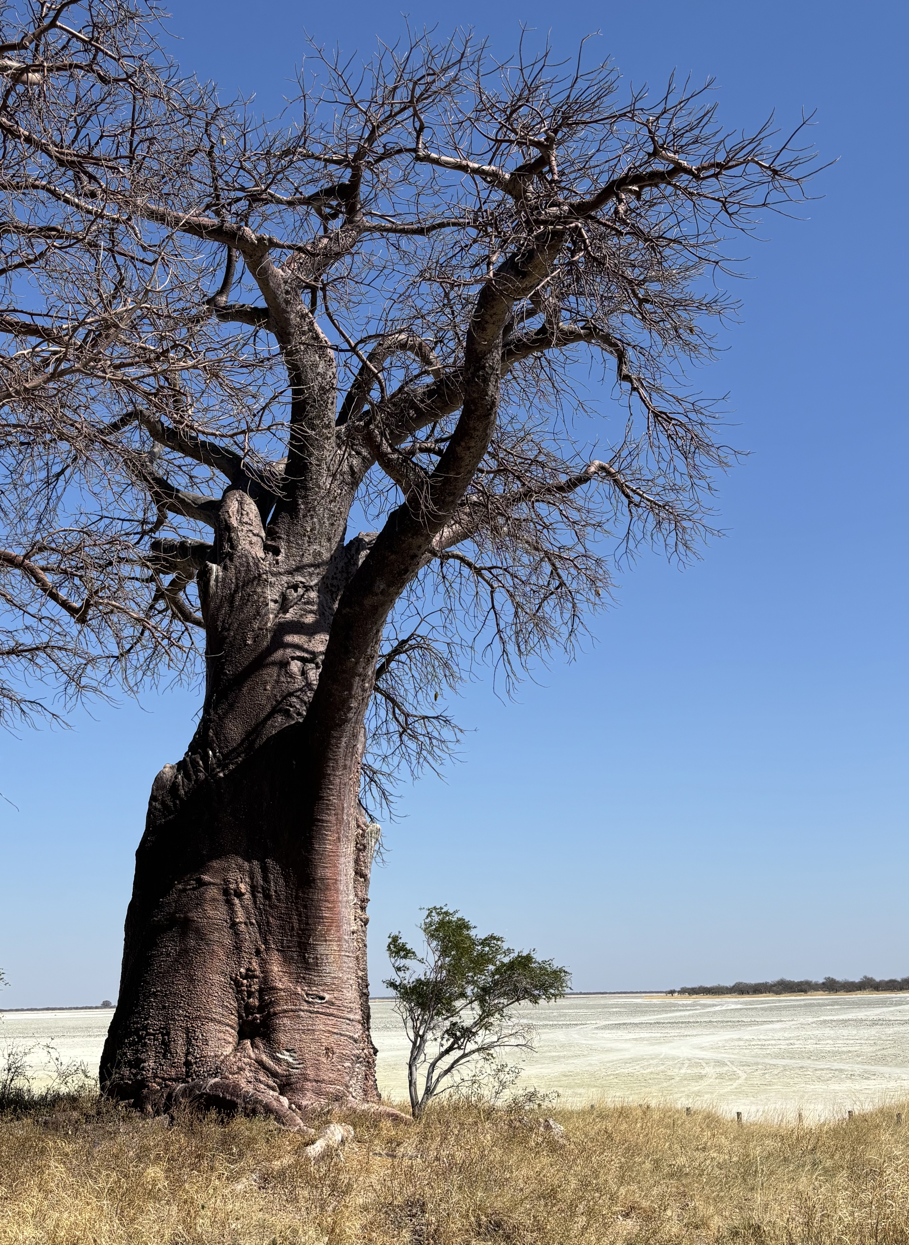 Botswana 2025