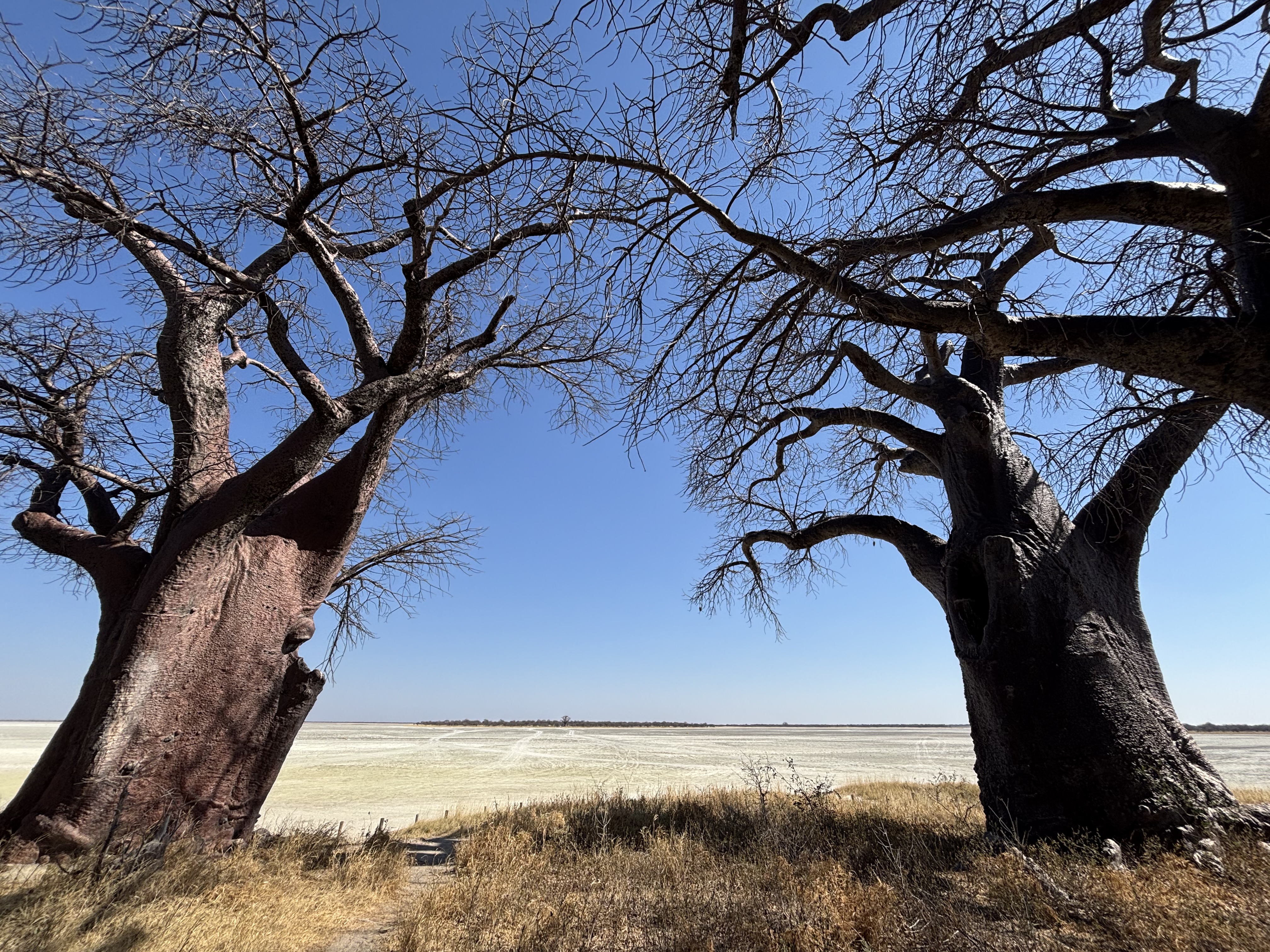 Botswana 2025