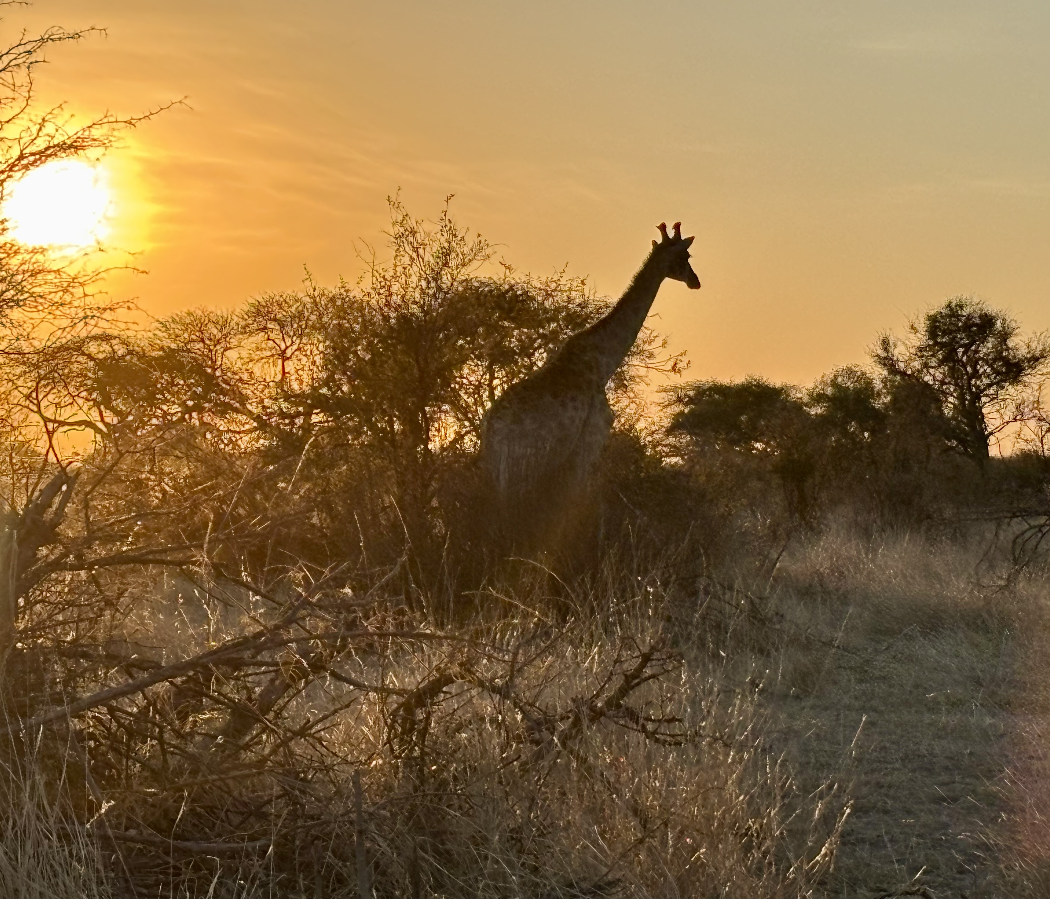 Botswana 2025