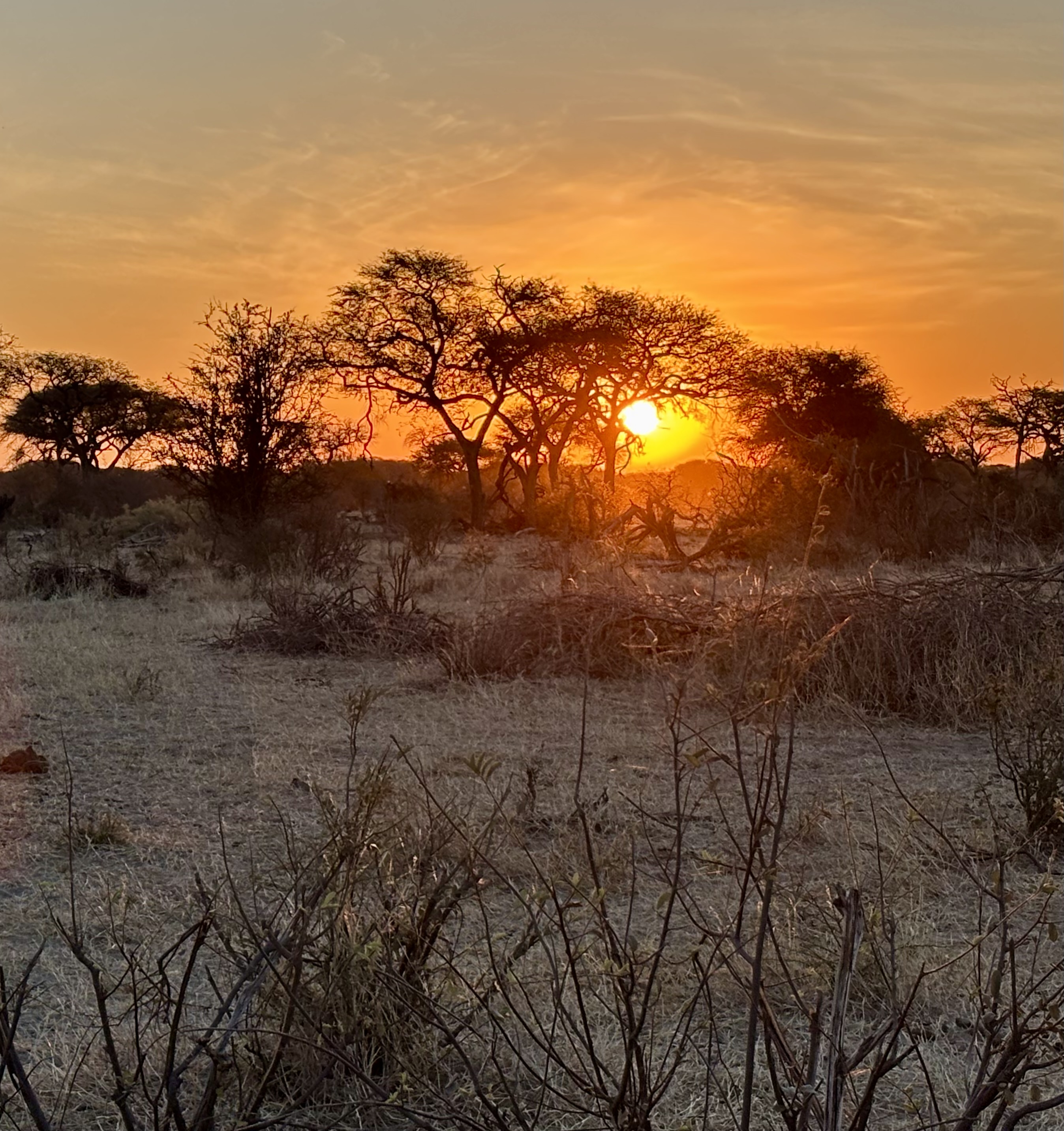 Botswana 2025