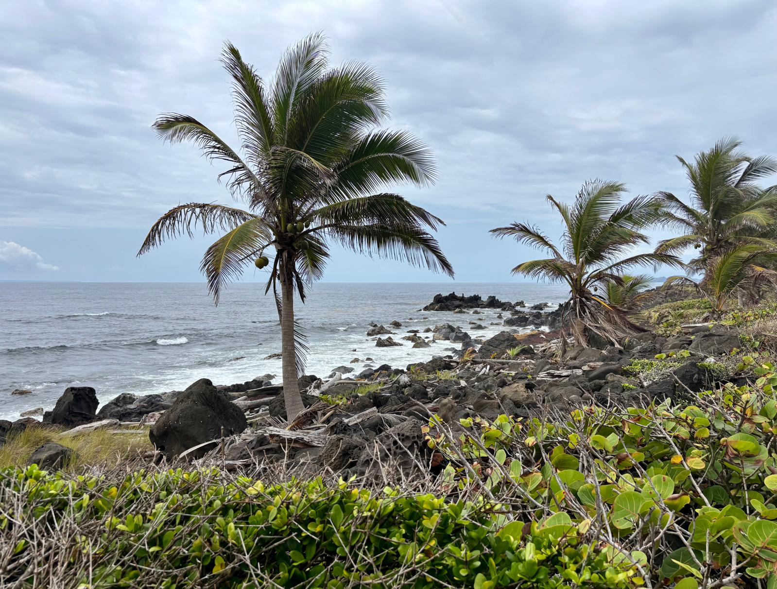 Guadeloupe + Terre de Bas 2026