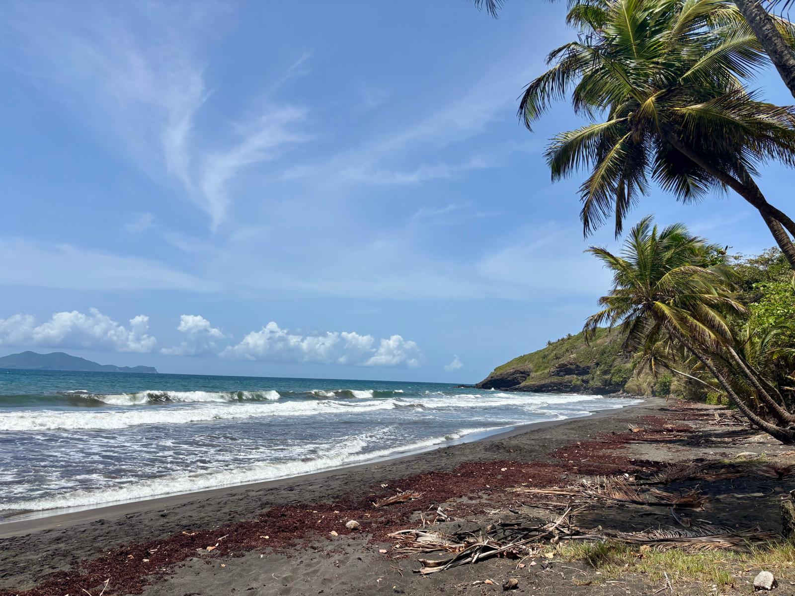 Guadeloupe + Terre de Bas 2026