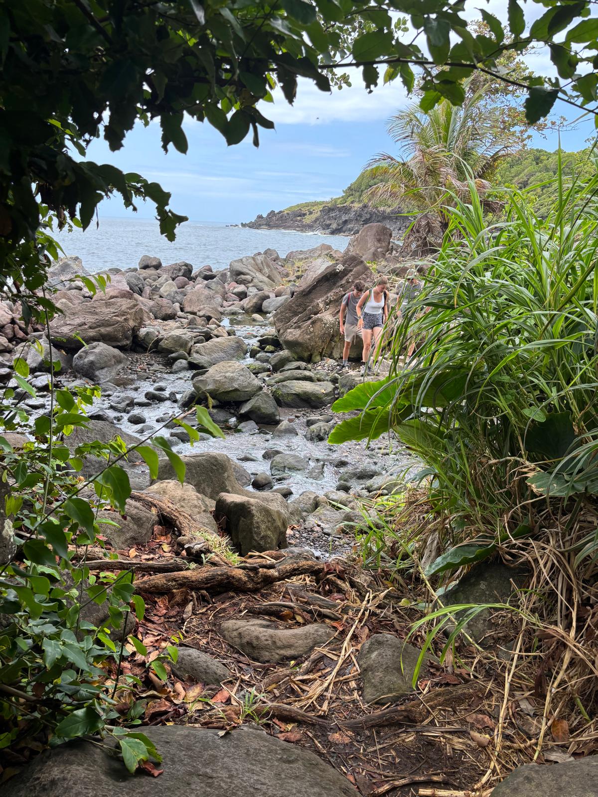 Guadeloupe + Terre de Bas 2026
