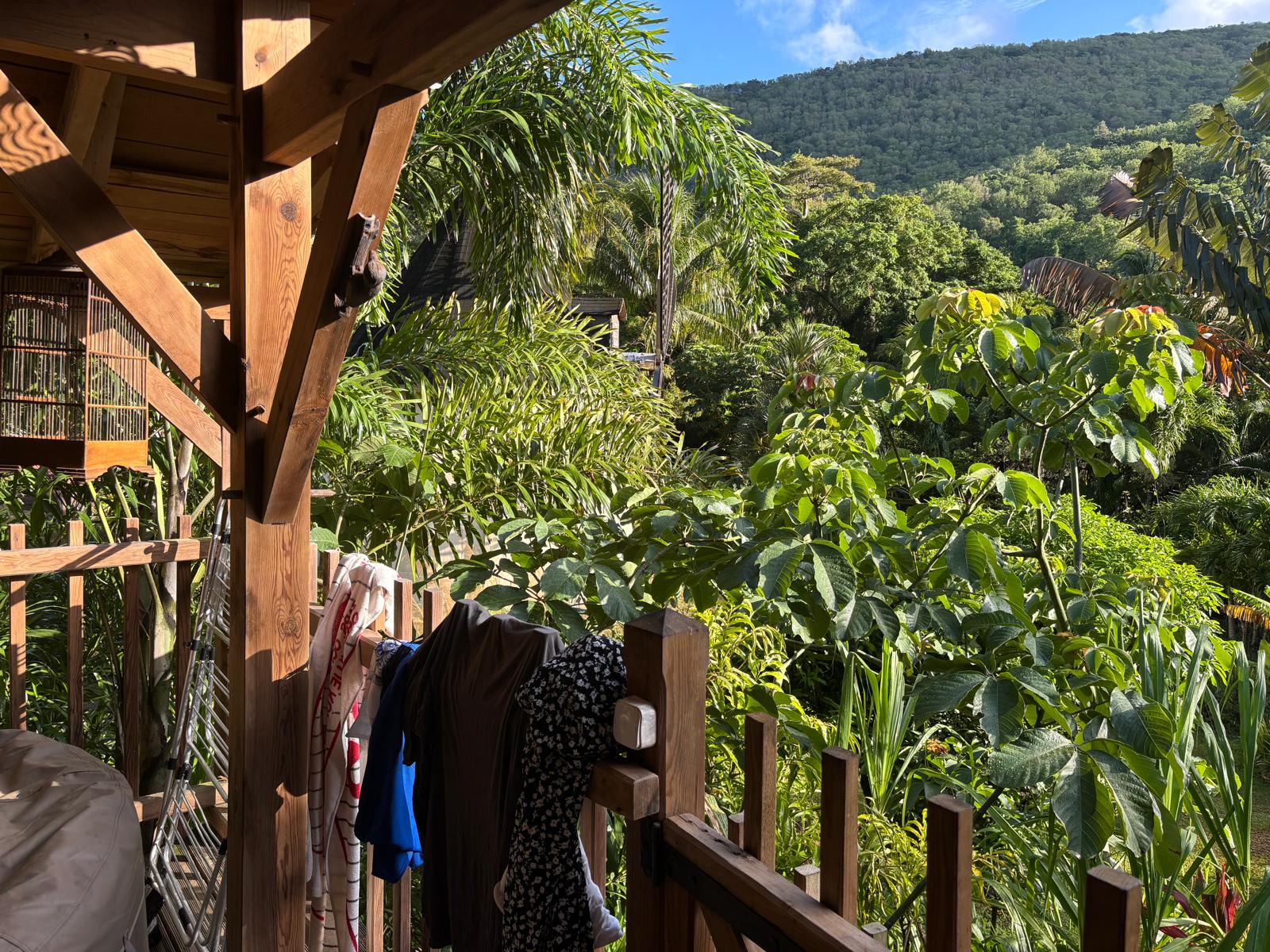 Guadeloupe + Terre de Bas 2026