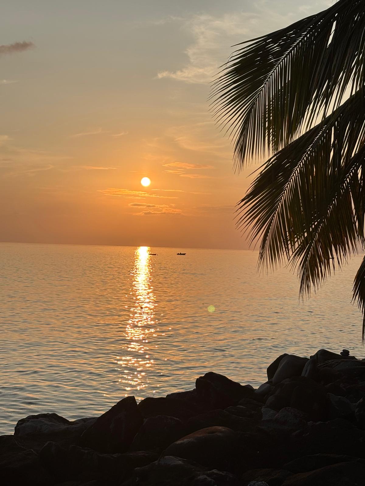 Guadeloupe + Terre de Bas 2026
