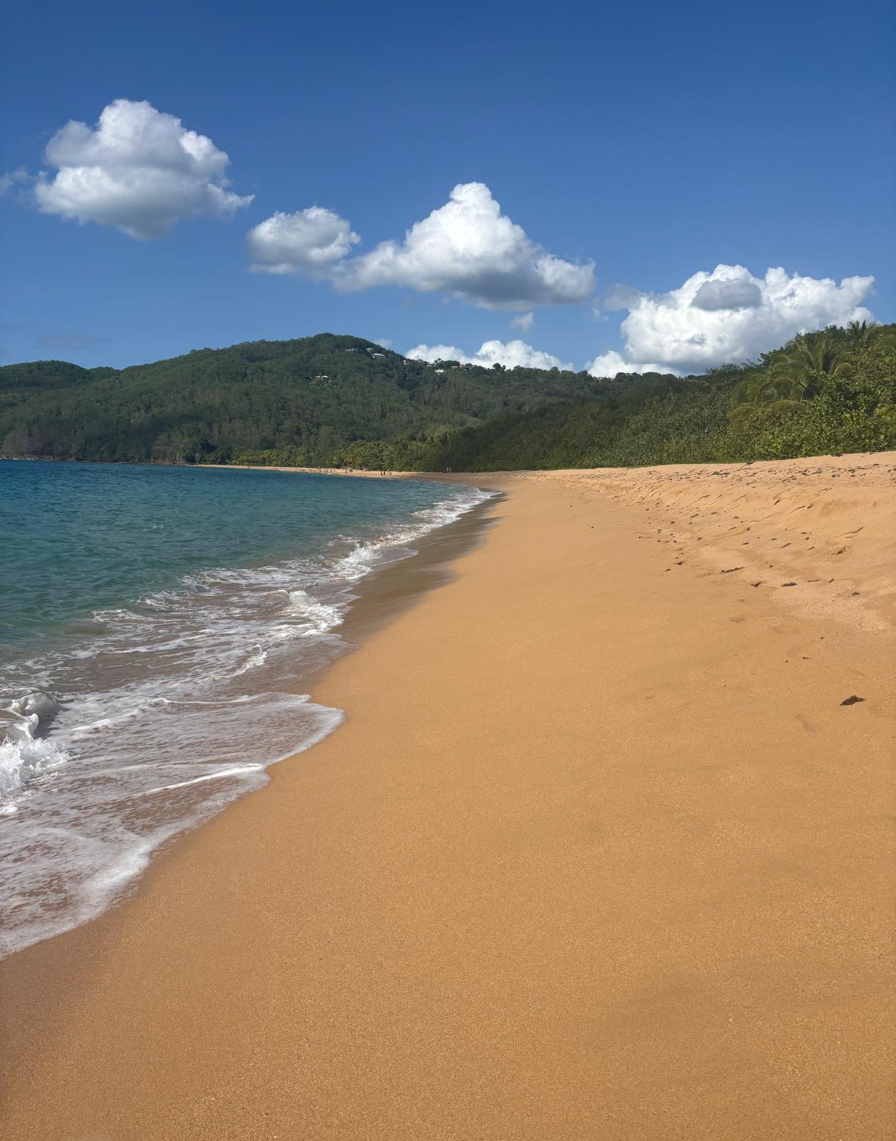Guadeloupe + Terre de Bas 2026