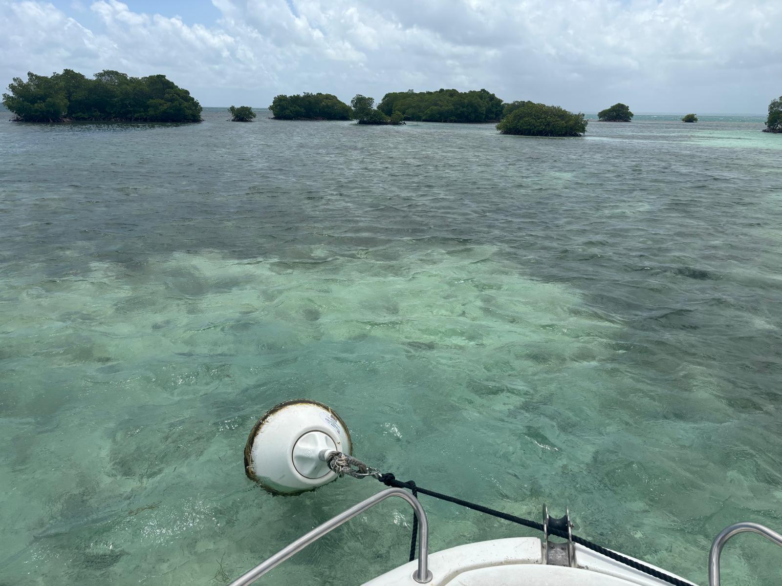 Guadeloupe + Terre de Bas 2026