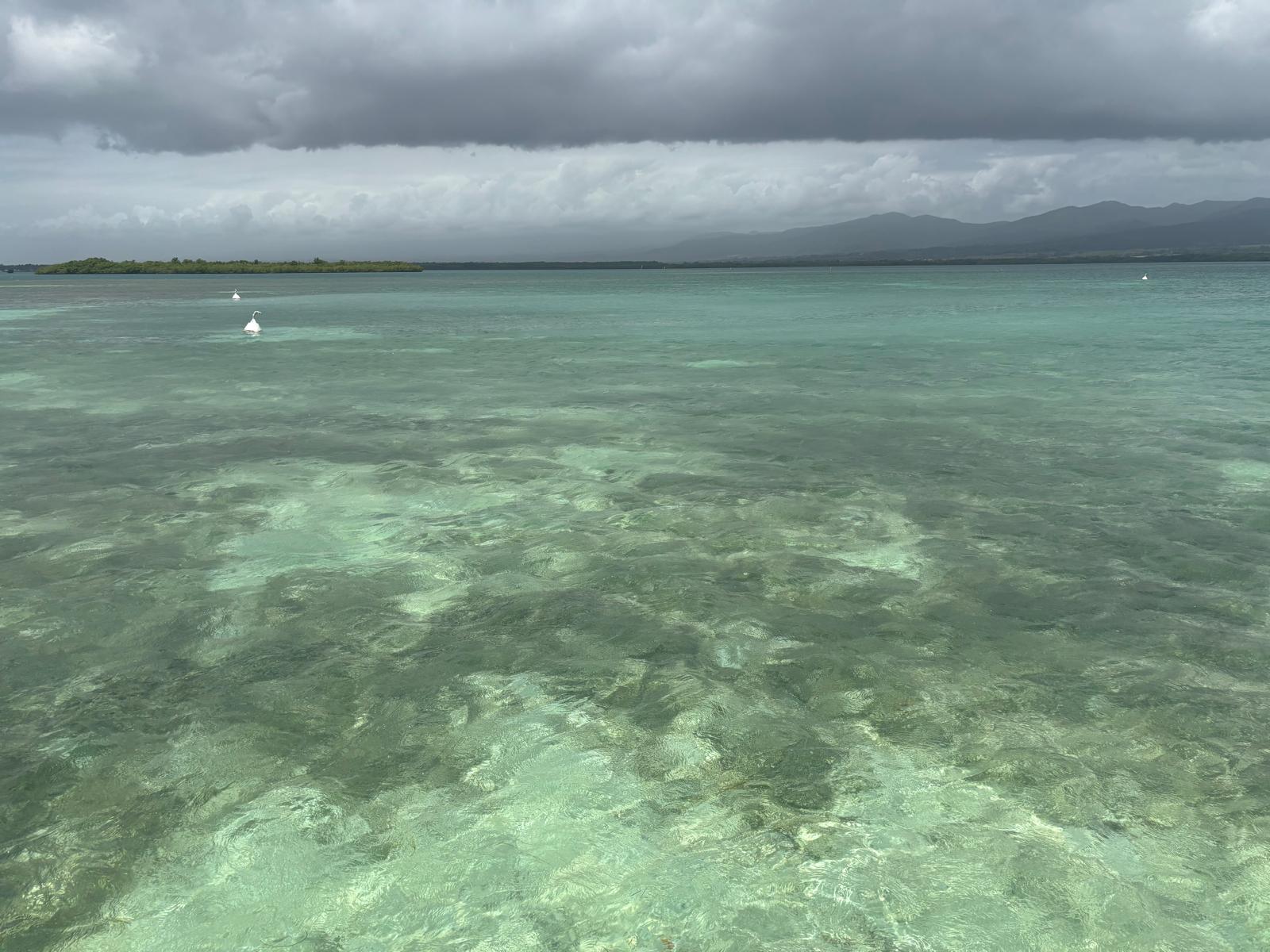 Guadeloupe + Terre de Bas 2026