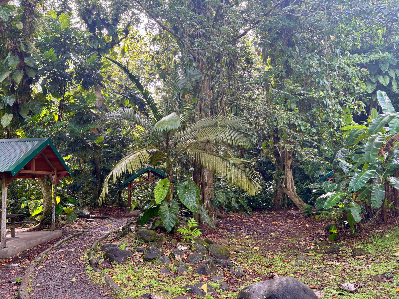 Guadeloupe + Terre de Bas 2026