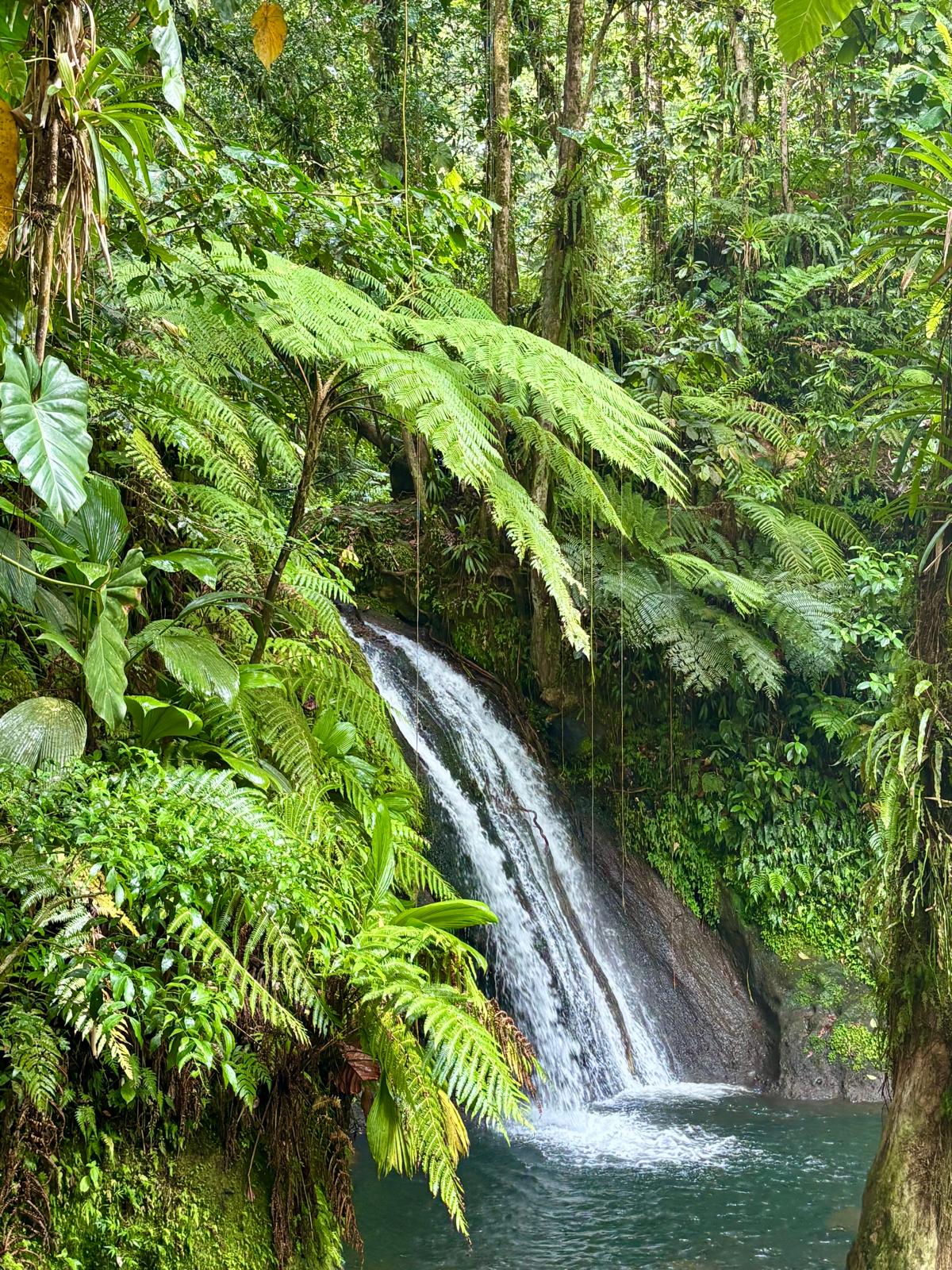 Guadeloupe + Terre de Bas 2026